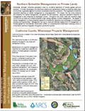 Northern Bobwhite Management on Private Lands - Coahoma County
