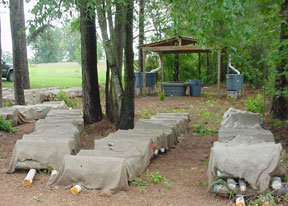 Shiitake Mushrooms - Alabama A & M University