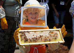 Beekeeping - Photo by Scott Corey, MSU