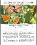 Mississippi Recreational Gardens: Establishing a Backyard Wildlife Habitat