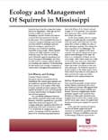 Ecology and Management of Squirrels in Mississippi