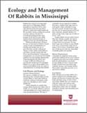 The Ecology and Management of Rabbits in Mississippi