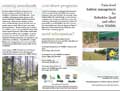Farm-level Habitat Management for Bobwhite Quail and Other Farm Wildlife