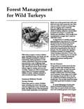 Forest Management for Wild Turkeys