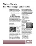 Native Shrubs for Mississippi Landscape