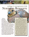 Ecology and Management of the Northern Bobwhite