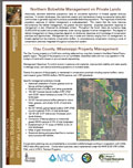 Northern Bobwhite Management on Private Lands - Clay County