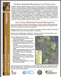 Northern Bobwhite Management on Private Lands - Clay County