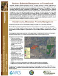 Northern Bobwhite Management on Private Lands - Panola County