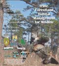 Pine Forestland Habitat Management