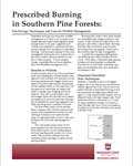 Prescribed Burning in Southern Pine Forests: Fire Ecology, Techniques, and Uses for Wildlife