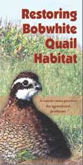 Restoring Bobwhite Quail Habitat