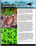 Supplemental Food and Cover Plantings for Bobwhite Quail in Mississippi