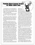 Planting Warm-season Forages for White-tailed Deer